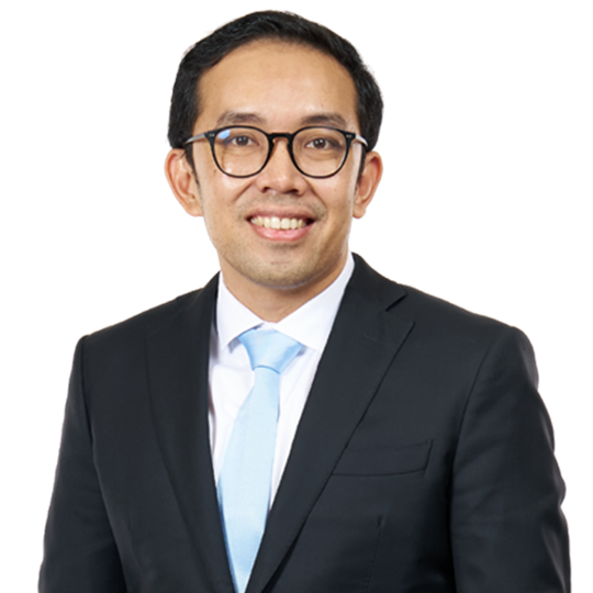 Ardinanda Sinulingga